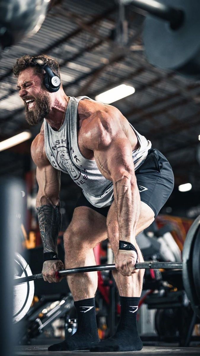 Barbell Squat
